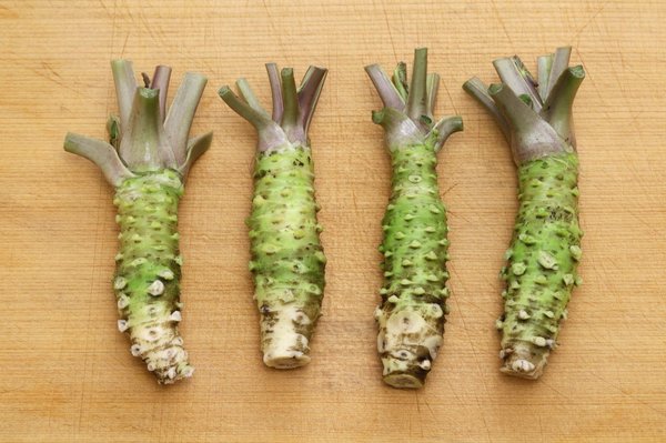 Quelles sont des recettes simples à préparer en utilisant du wasabi ?